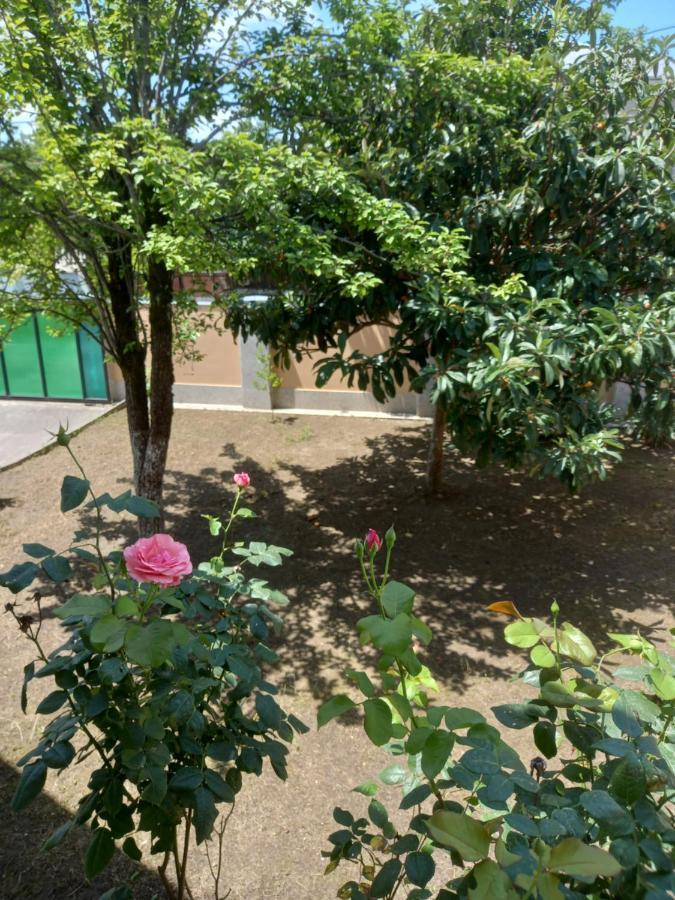 Tskaltubo Apartment Mirian Mepe Εξωτερικό φωτογραφία